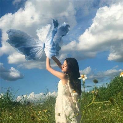 粉红火鹤的神秘凝视
