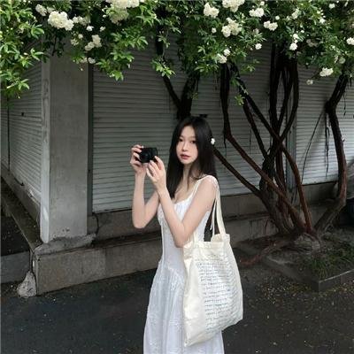 公主复仇者
